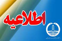 تأخیر در بارگذاری پروژه های مرحله گروهی حیطه های مختلف هفدهمین المپیاد علمی تیر 1404